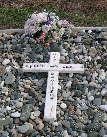 DAVIDSON, Nellie